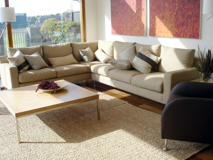contemporary living room with an area rug