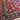 hand-knotted Persian rug