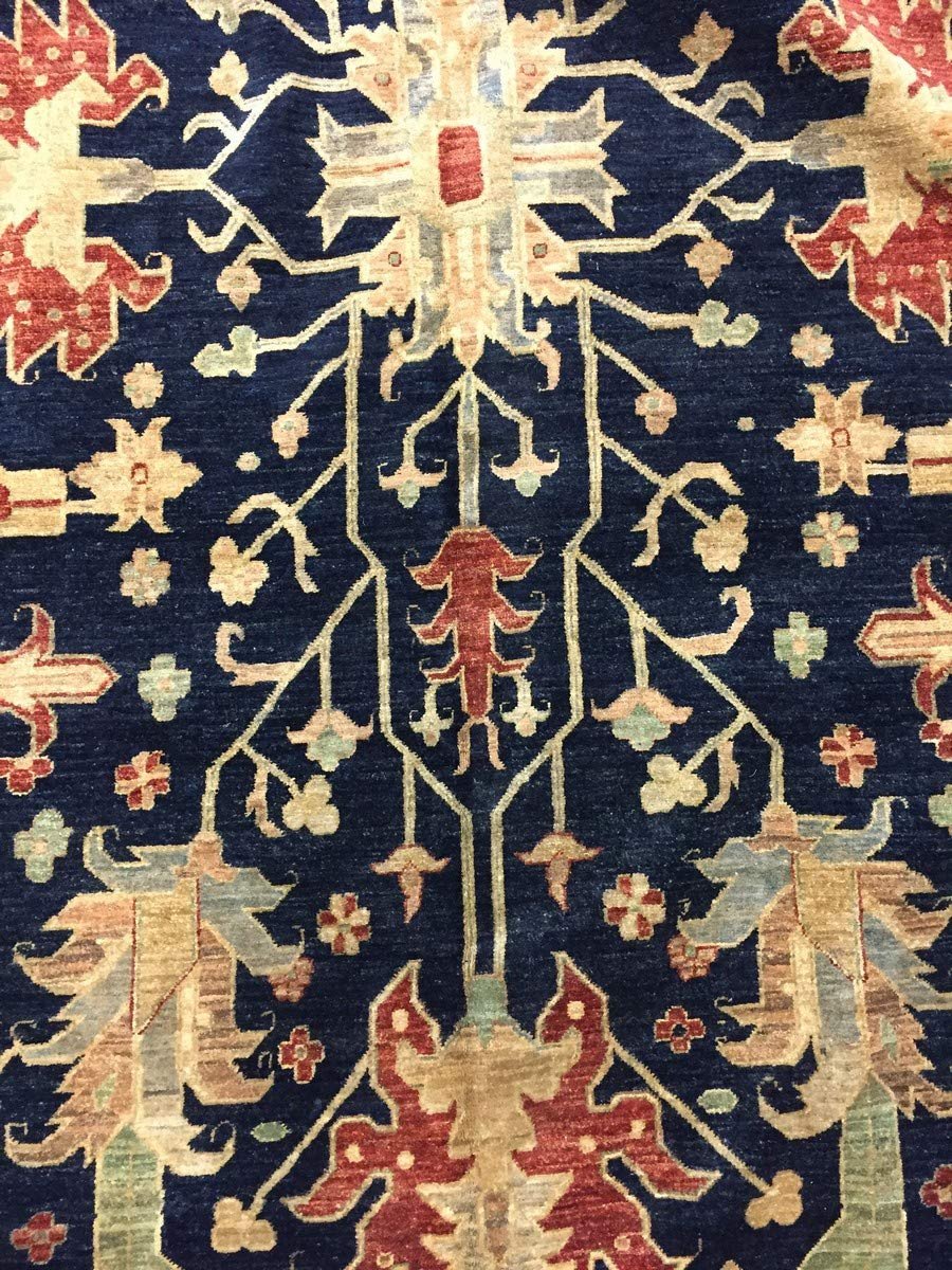 Hand Knotted Pakistani Rug-Ziegler-Navy Blue/Red/Multi-(18.3 by 11.6 Feet)