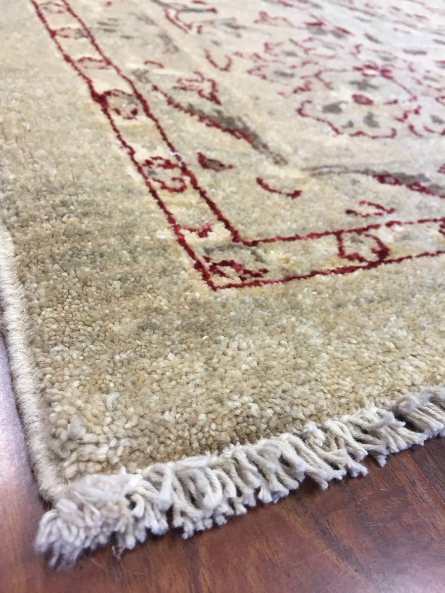 Hand Knotted Pakistani Rug-Ziegler-Ivory/red/Multi-(8.3 by 9.10 Feet)