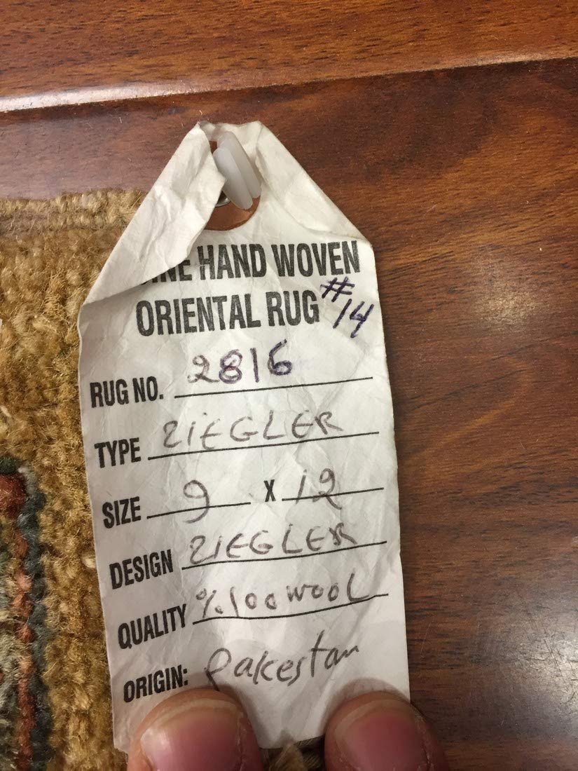 Authentic Wool Handmade Pakistan Area Rug Floral Ziegler Faded-Sage/Beige/Burgundy-(9 by 12 Feet)