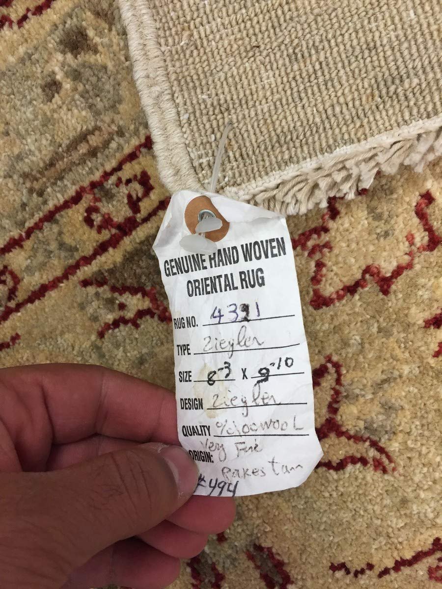 Hand Knotted Pakistani Rug-Ziegler-Ivory/red/Multi-(8.3 by 9.10 Feet)