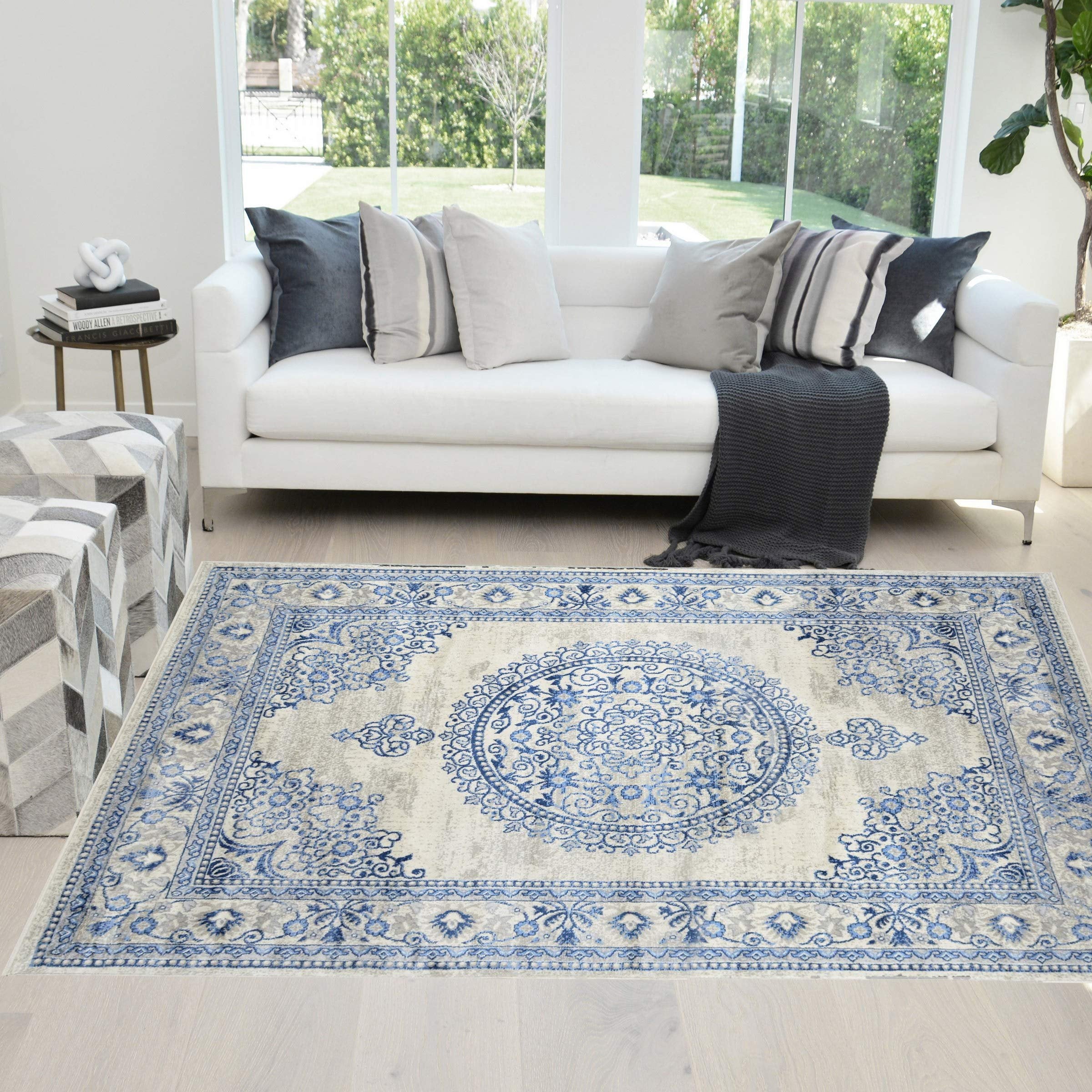 HR Traditional Rug for Living Room Antiqued Oriental Boho Décor