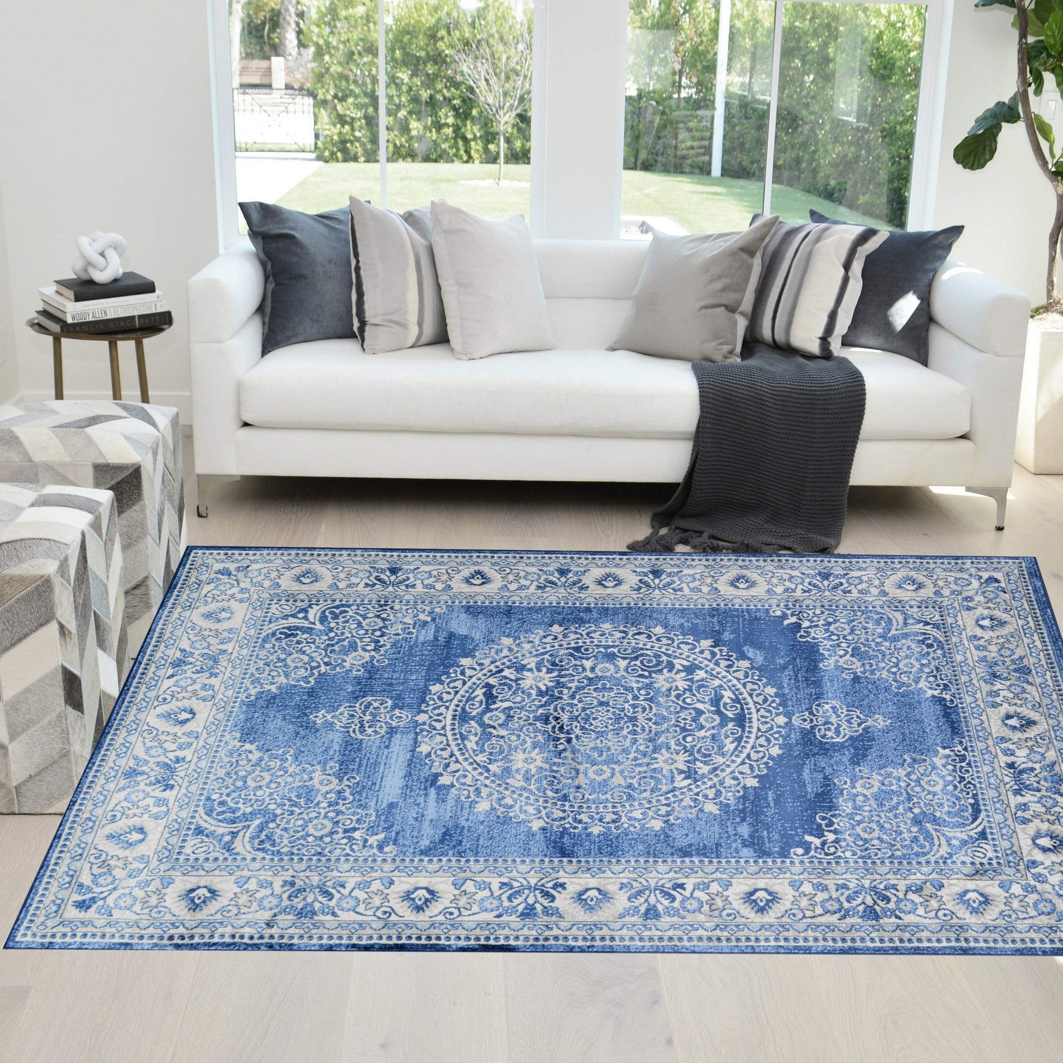 HR Traditional Rug for Living Room Antiqued Oriental Boho Décor