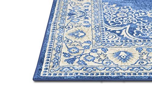 HR Traditional Rug for Living Room Antiqued Oriental Boho Décor