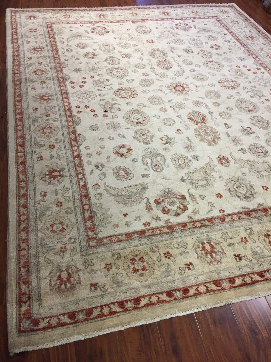 Authentic Handmade fine Pakistani Rug-Wool Allover/Floral Pattern-Ivory/Beige-(8.2 by 10.3 Feet)