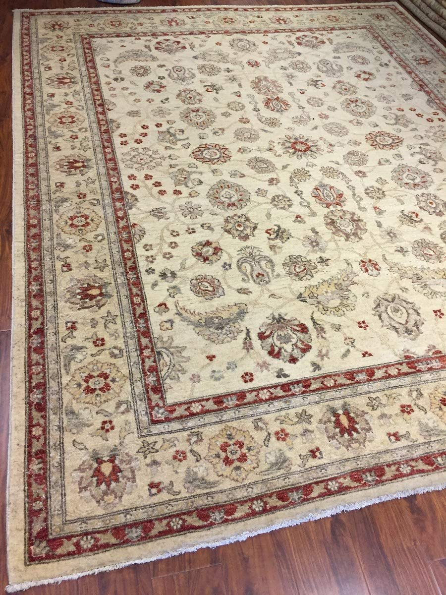 Authentic Handmade fine Pakistani Rug-Wool Allover/Floral Pattern-Ivory/Beige-(8.2 by 10.3 Feet)