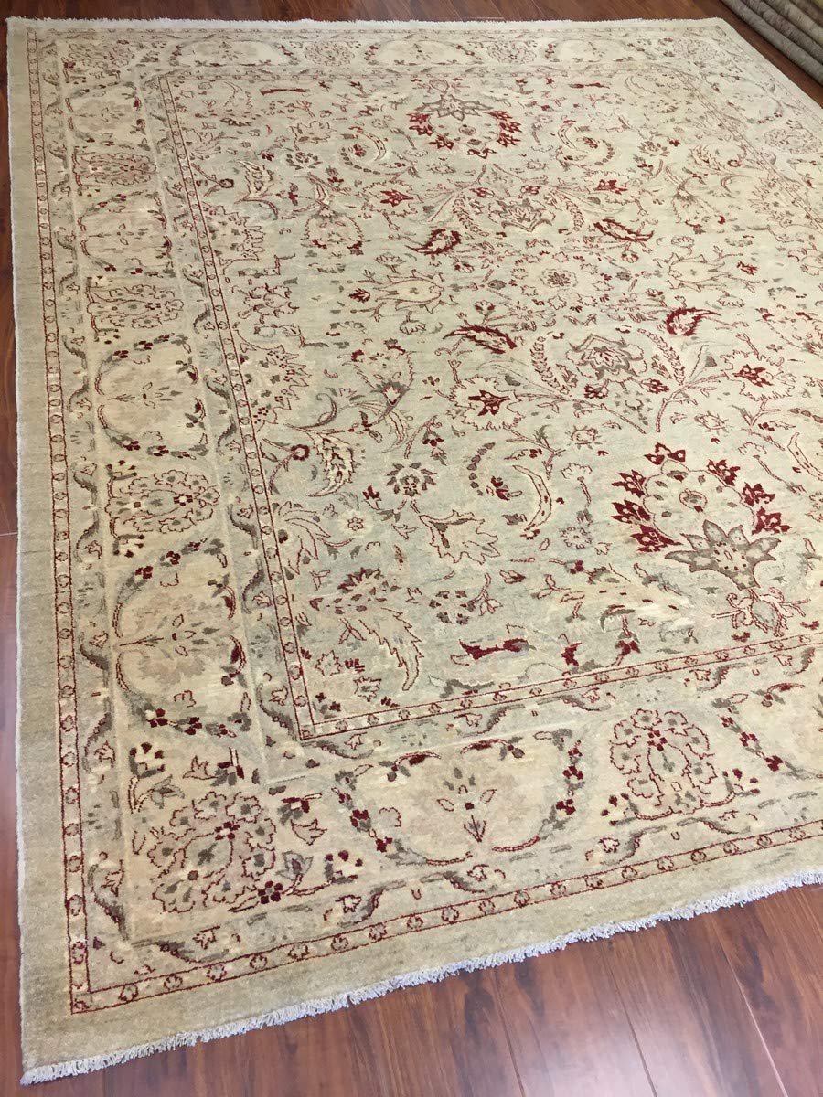 Hand Knotted Pakistani Rug-Ziegler-Ivory/red/Multi-(8.3 by 9.10 Feet)